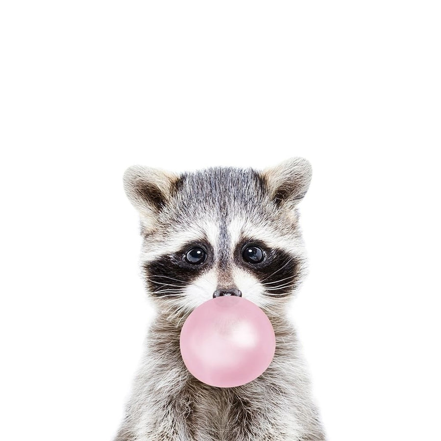 Bubble gum racoon Poster Print - and Seb Sisi-VARPDXSS0082 Image 1