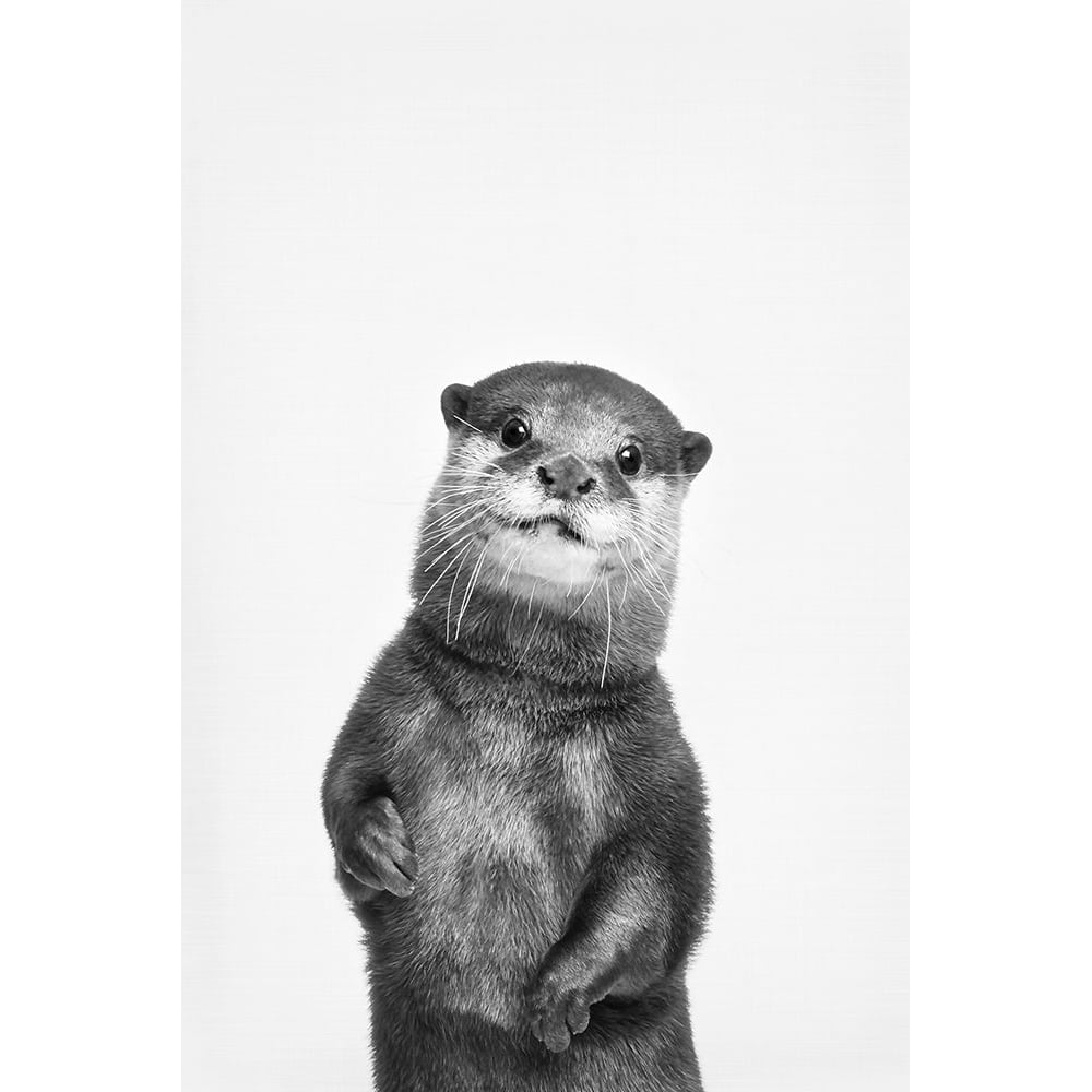 Otter Poster Print - and Seb Sisi-VARPDXSS0220 Image 1