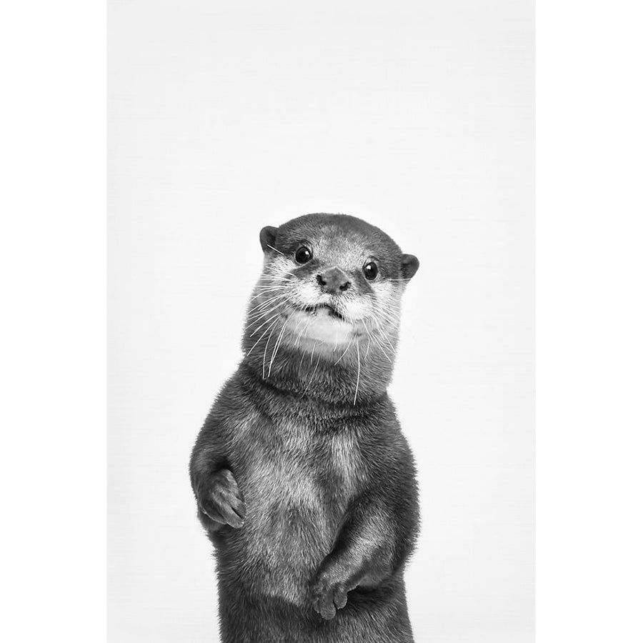 Otter Poster Print - and Seb Sisi-VARPDXSS0220 Image 1