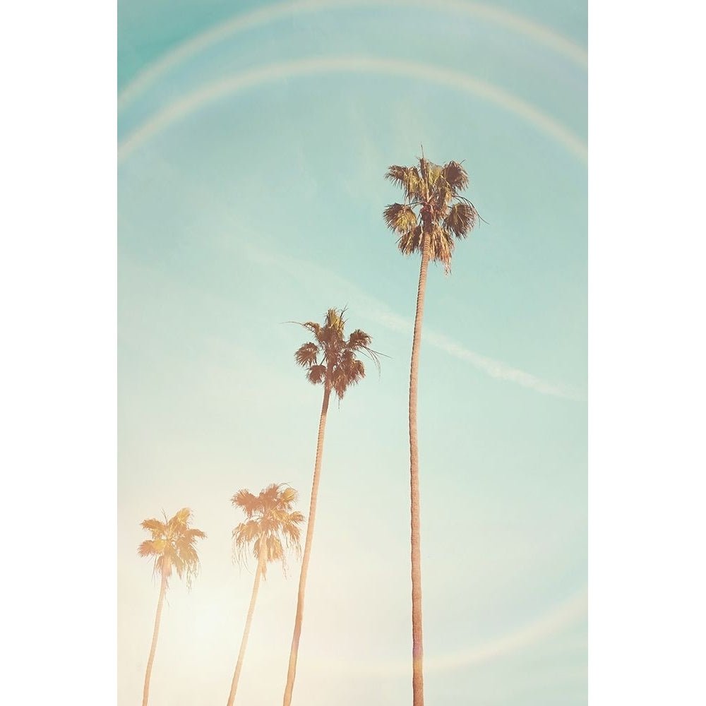 Sunny Palm Trees Poster Print - and Seb Sisi-VARPDXSS0329 Image 1