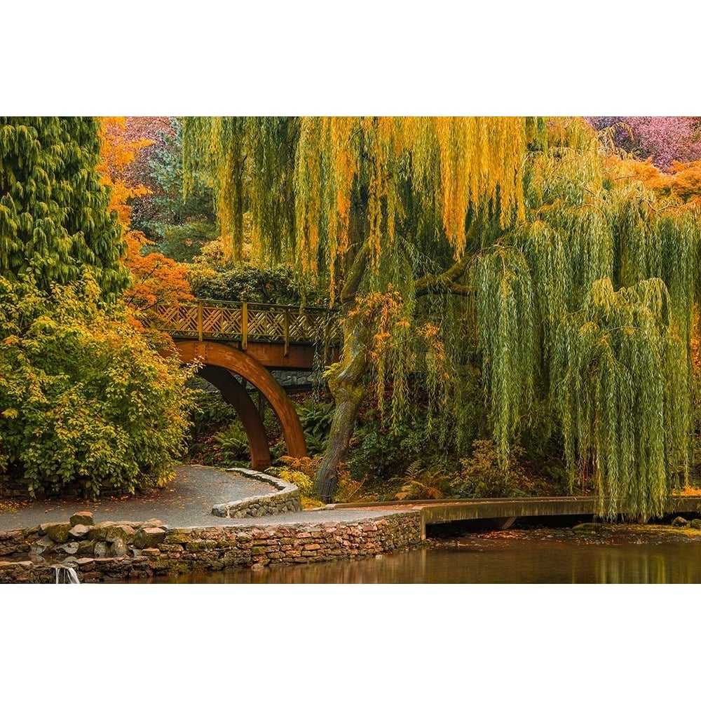 Willows Over the Pond Poster Print - Don Schwartz-VARPDXSS029A Image 1