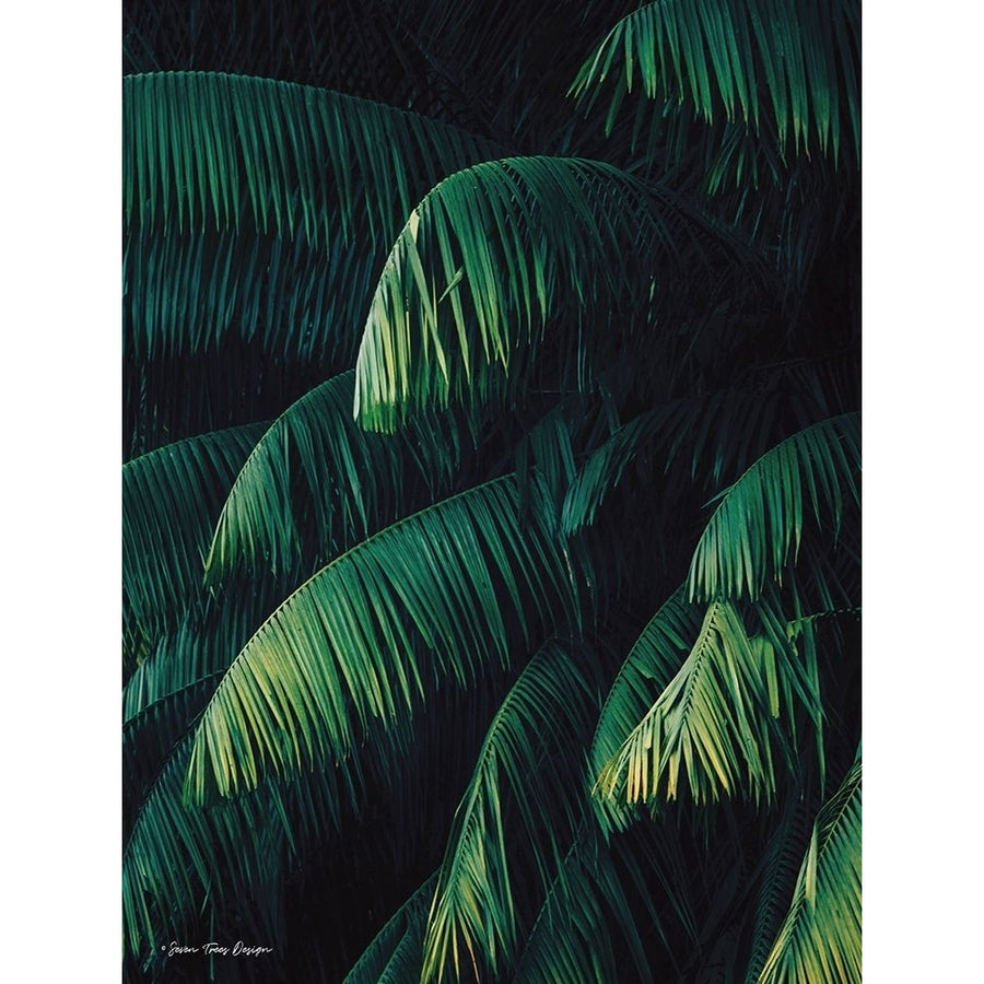 Palm Leaves Poster Print by Seven Trees Design Seven Trees Design-VARPDXST444 Image 1