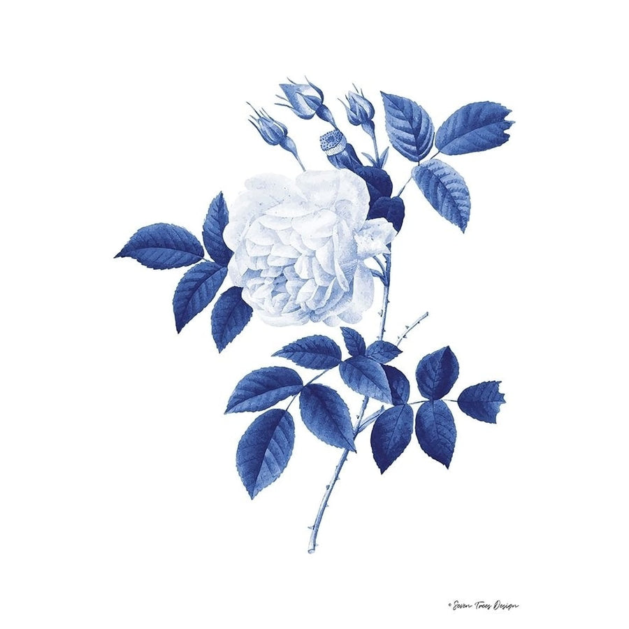 Blue Botanical II Poster Print by Seven Trees Design Seven Trees Design-VARPDXST552 Image 1