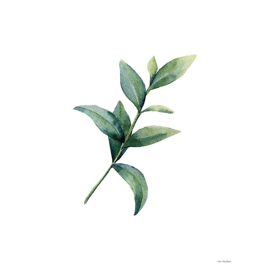 Eucalyptus III Poster Print by Seven Trees Design Seven Trees Design-VARPDXST808 Image 1