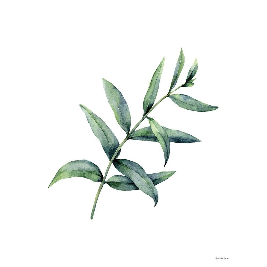 Eucalyptus V Poster Print by Seven Trees Design Seven Trees Design-VARPDXST810 Image 1