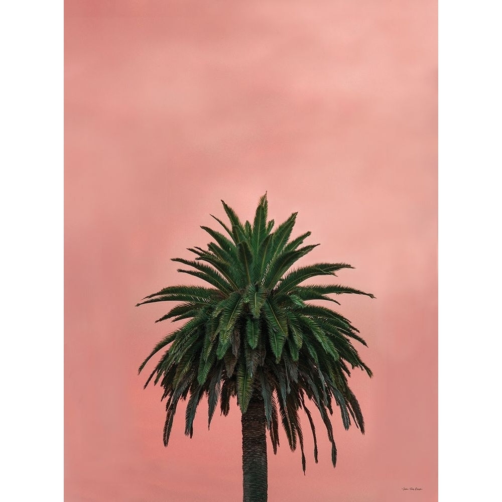 Pink Palm by Seven Trees Design-VARPDXST822 Image 1