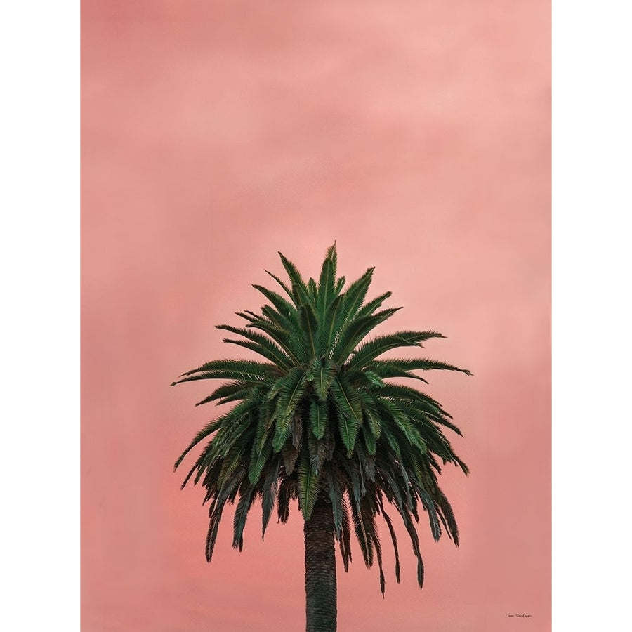 Pink Palm by Seven Trees Design-VARPDXST822 Image 1