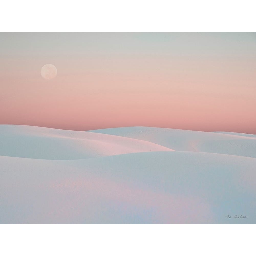 Moon and Dunes by Seven Trees Design-VARPDXST944 Image 1