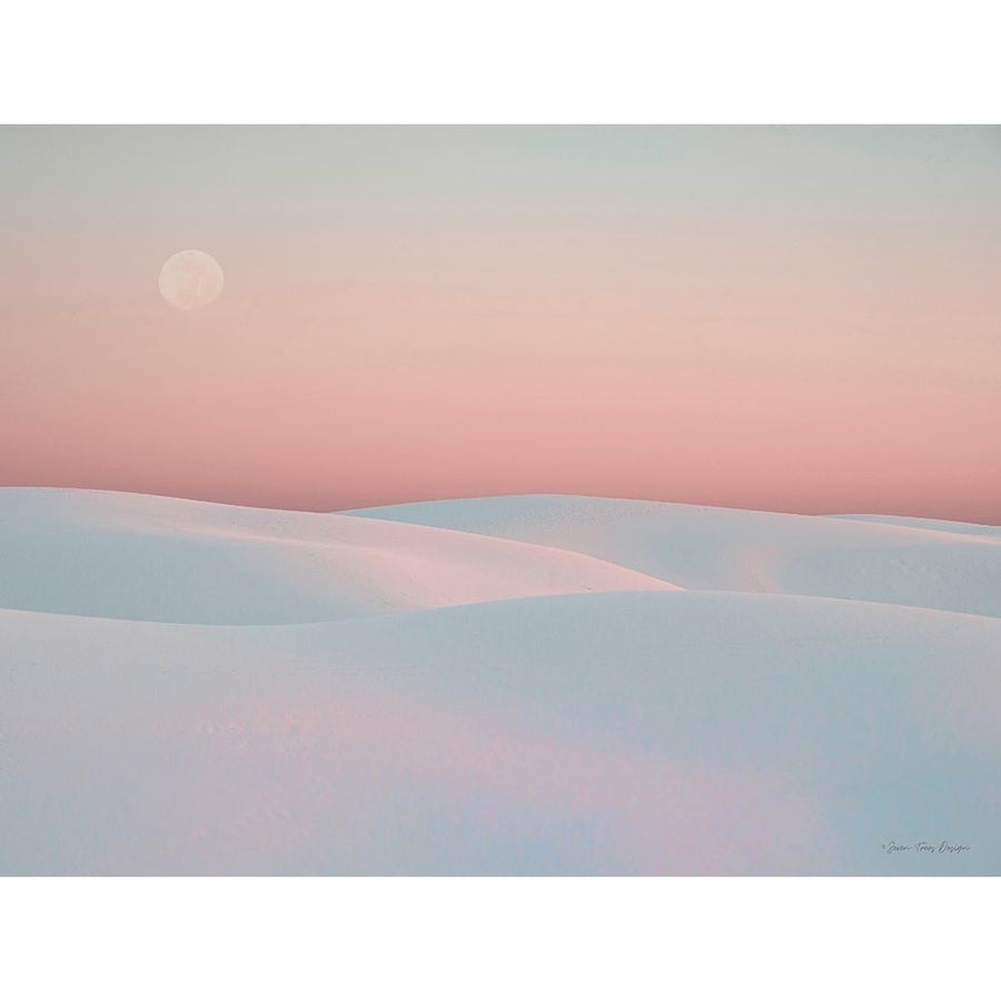 Moon and Dunes by Seven Trees Design-VARPDXST944 Image 1