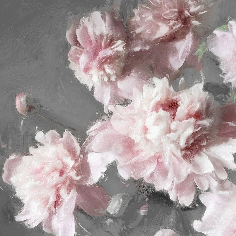 Peonies on Gray II Poster Print by Shawna Sullivan-VARPDXSU116252 Image 1