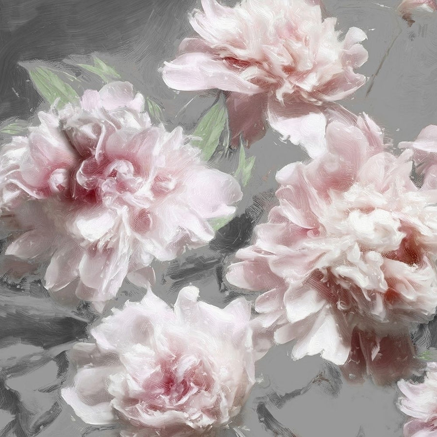 Peonies on Gray I Poster Print by Shawna Sullivan-VARPDXSU116251 Image 1