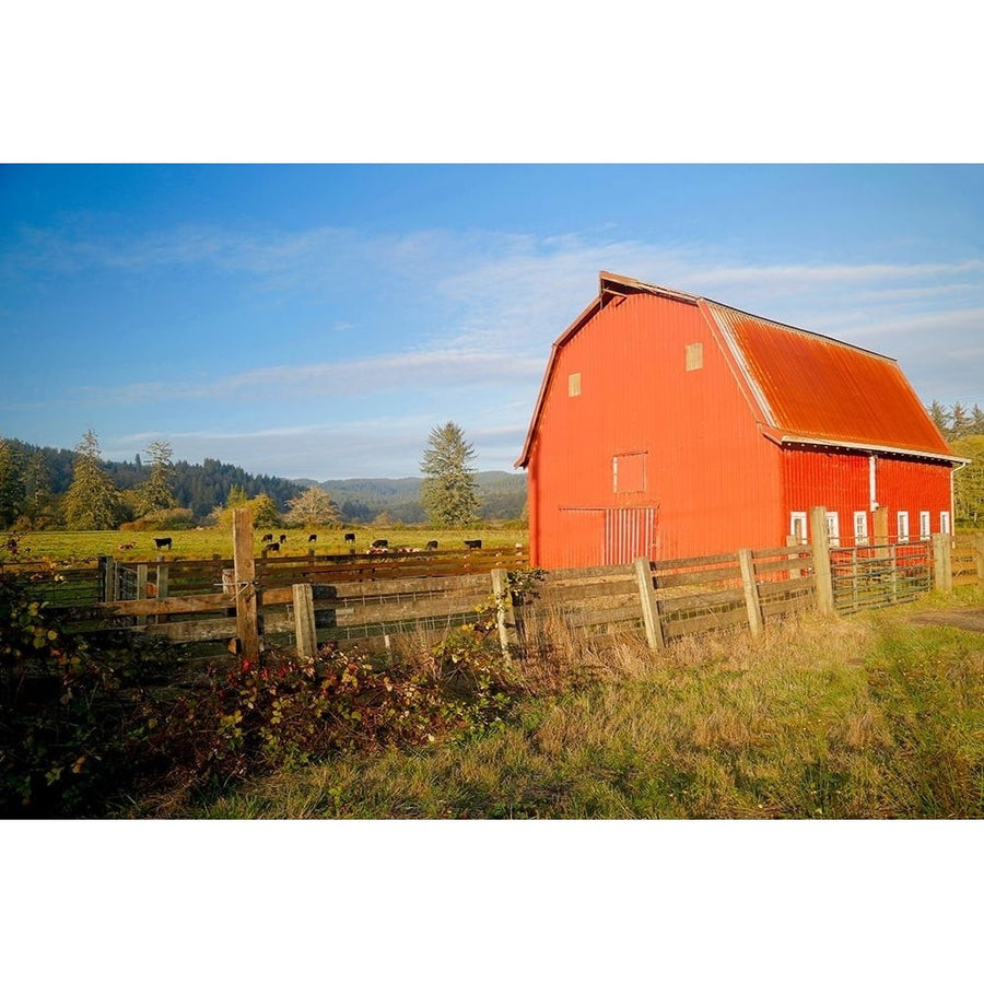 Red Barn with Cows 2 Poster Print - Vizvary Photography Susan-VARPDXSUSVIZ241289 Image 1