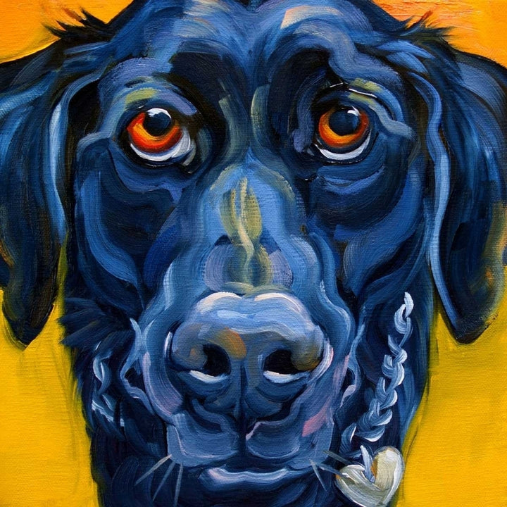 Black Dog Poster Print by Connie R. Townsend-VARPDXT583D Image 1