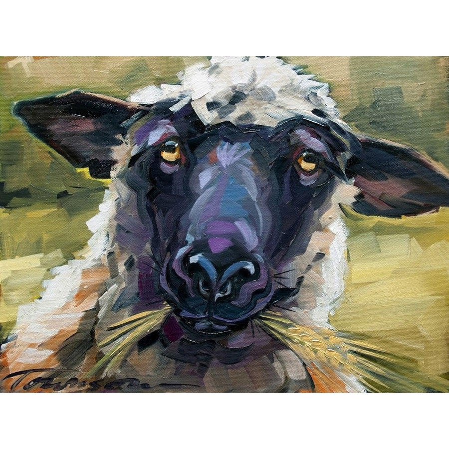 Bless Ewe Poster Print by CR Townsend-VARPDXT606D Image 1