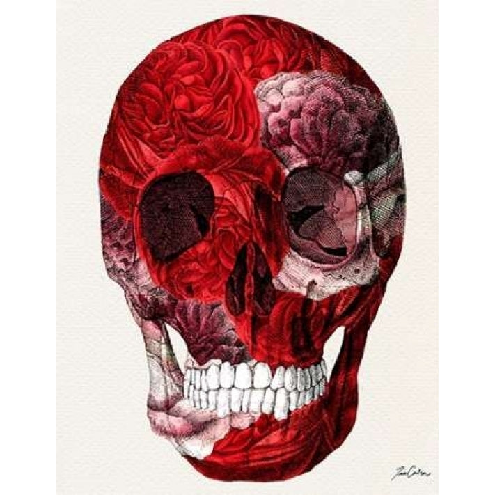 Skull With Roses Poster Print by Tina Carlson-VARPDXTCRC075B Image 1