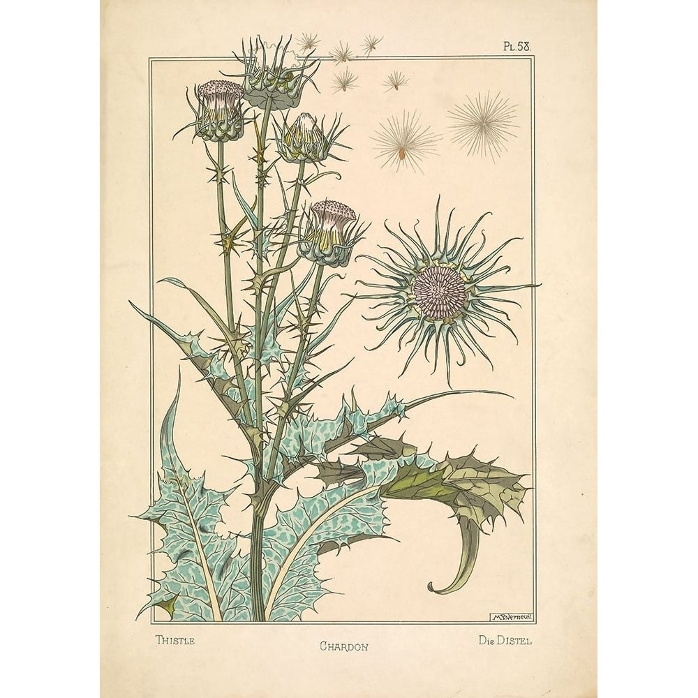 Thistle Chardon Poster Print by Tina Carlson-VARPDXTCRC193A Image 1