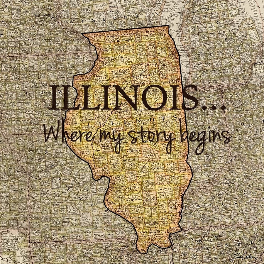 Story Illinois Poster Print by Tina Carlson-VARPDXTCSQ201N Image 1