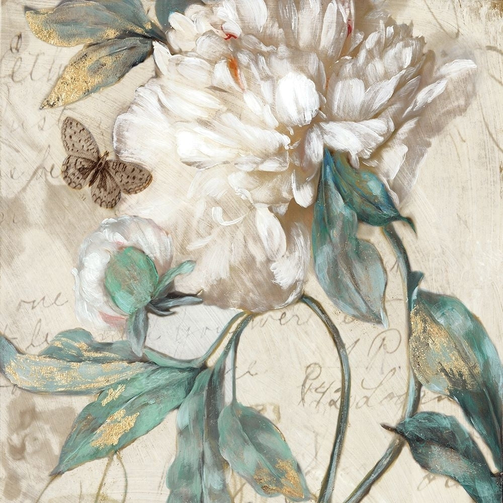 Morning Peony II Poster Print by Matina Theodosiou-VARPDXTE002A Image 1