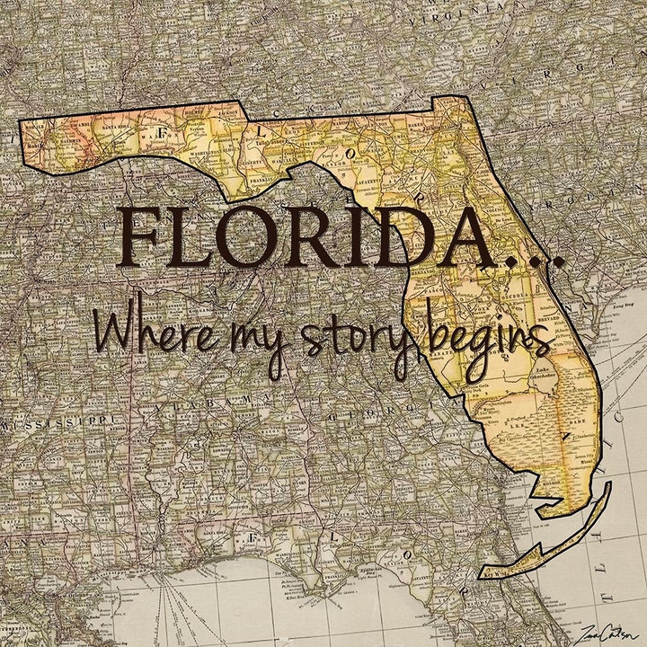 Story Florida Poster Print by Tina Carlson-VARPDXTCSQ201M Image 2