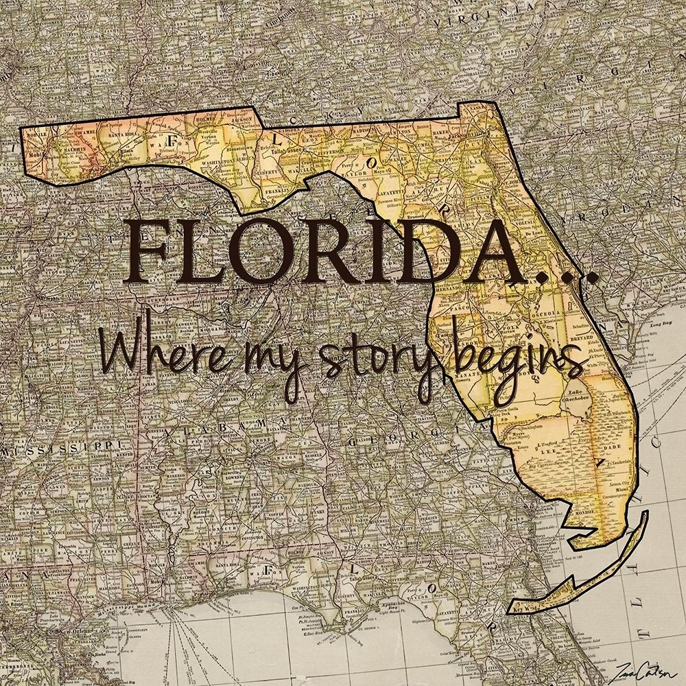 Story Florida Poster Print by Tina Carlson-VARPDXTCSQ201M Image 1