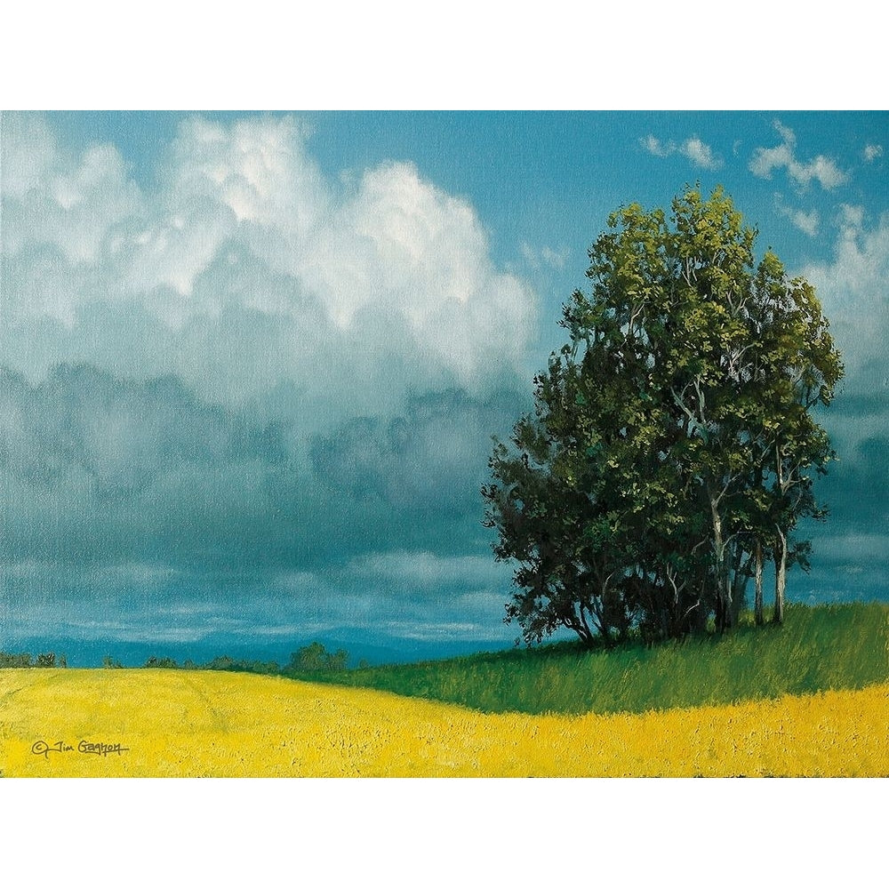 Canola Field Poster Print by Tim Gagnon-VARPDXTGAR135 Image 1