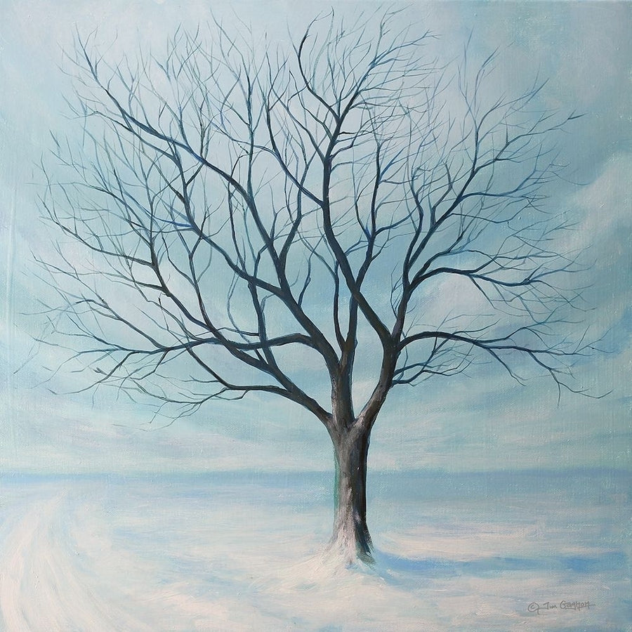 Winter Tree Poster Print by Tim Gagnon-VARPDXTGAR144 Image 1