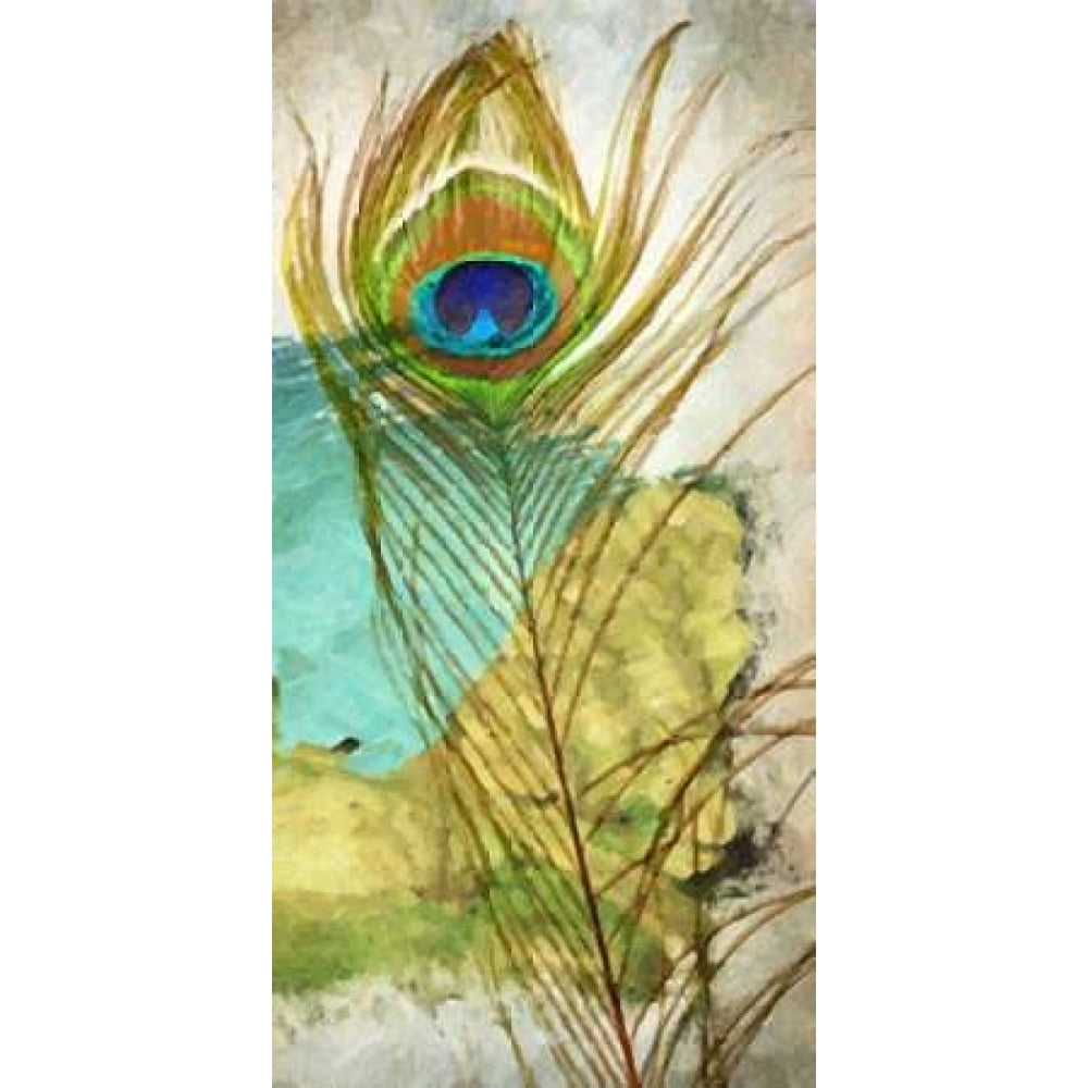 PEACOCK FEATHER 1 Poster Print by Taylor Greene-VARPDXTGPL003A Image 2