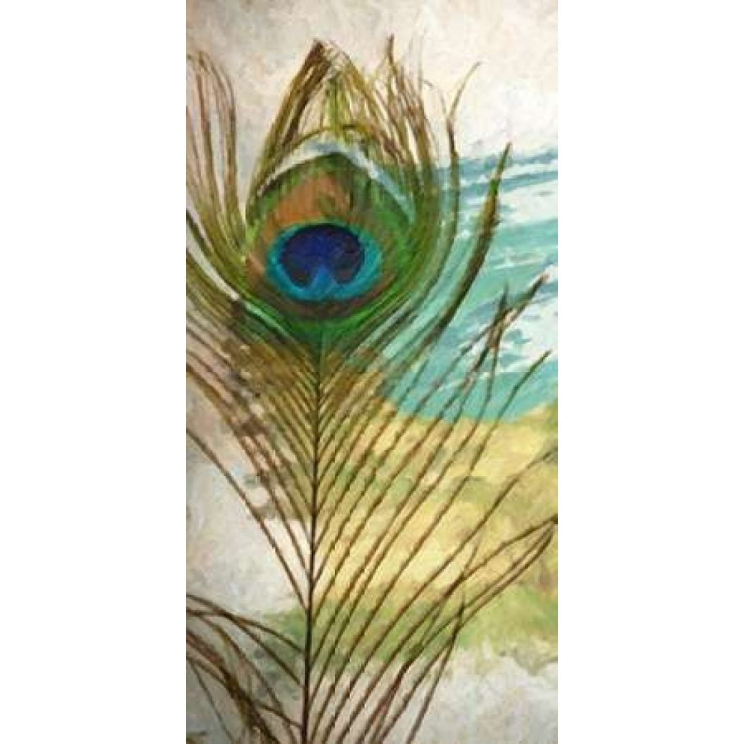 PEACOCK FEATHER 2 Poster Print by Taylor Greene-VARPDXTGPL003B Image 1