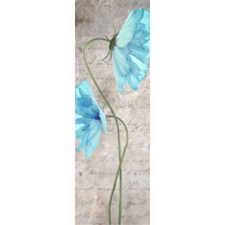 Blue Floral Panel B1 Poster Print by Taylor Greene-VARPDXTGPL024B1 Image 1