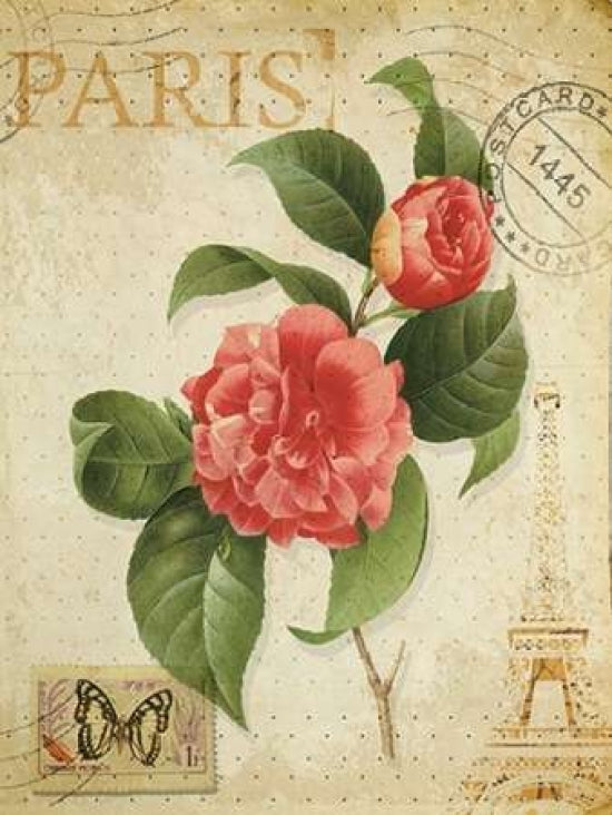 VINTAGE PARIS ROSE- OIL Poster Print by Taylor Greene-VARPDXTGRC021B Image 1