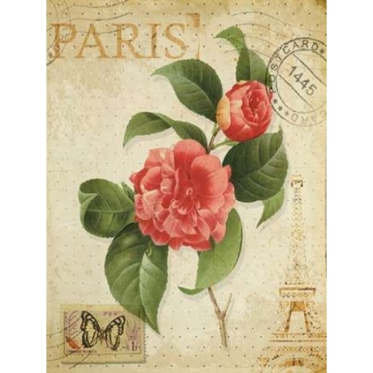 VINTAGE PARIS ROSE- OIL Poster Print by Taylor Greene-VARPDXTGRC021B Image 2