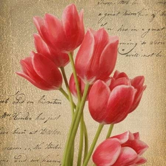 RED TULIP I ON GOLD Poster Print by Taylor Greene-VARPDXTGSQ055A Image 2