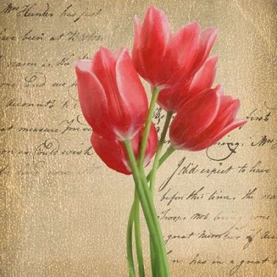 RED TULIP II ON GOLD Poster Print by Taylor Greene-VARPDXTGSQ055B Image 2