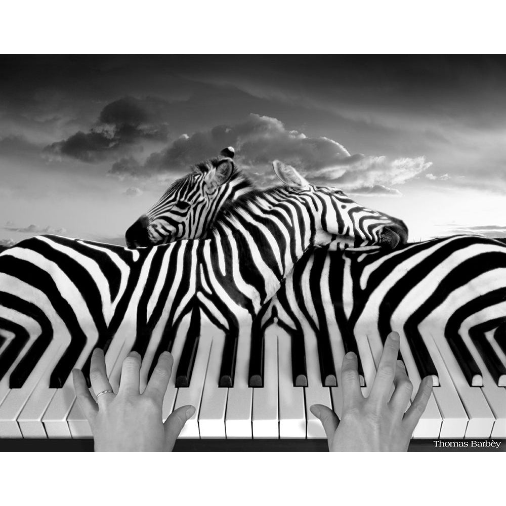 Piano Peace Poster Print - Thomas Barbey-VARPDXTHOBAR125555 Image 1