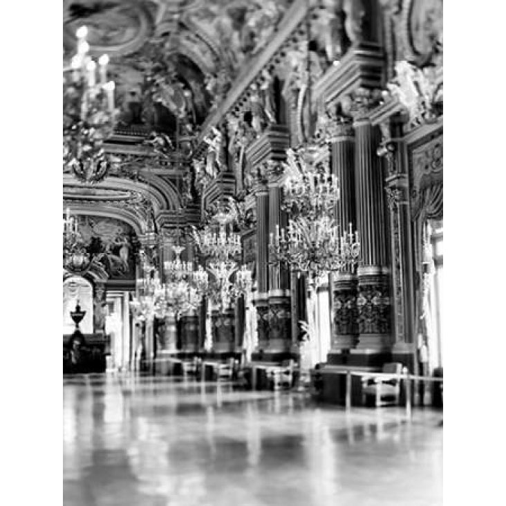 Palais Garnier Poster Print by Tracey Telik-VARPDXTKRC137A Image 1