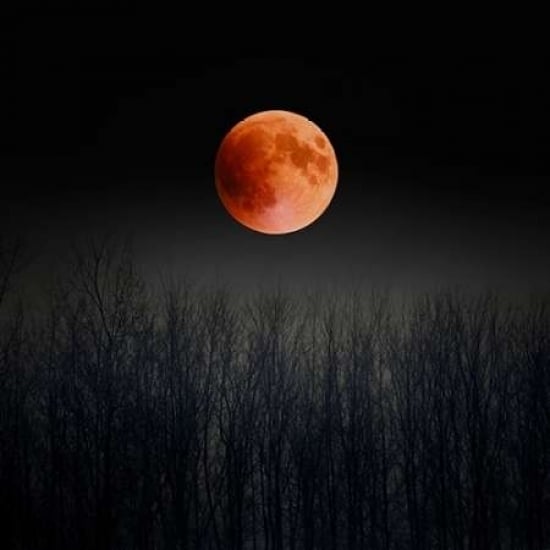 Blood Moon Poster Print by Tracey Telik-VARPDXTKSQ046A Image 1