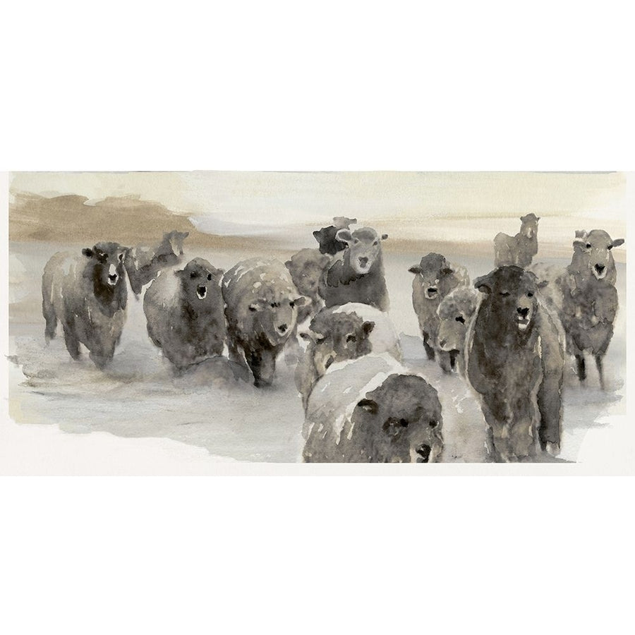 Winter Sheeps II by Stellar Design Studio-VARPDXTV046A Image 1