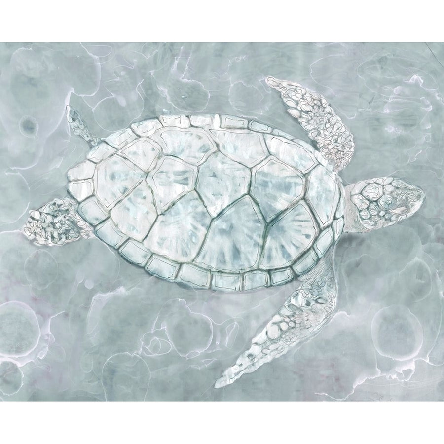 Sea Turtle?_ Poster Print by Stellar Design Studio Stellar Design Studio -VARPDXTV042A Image 1