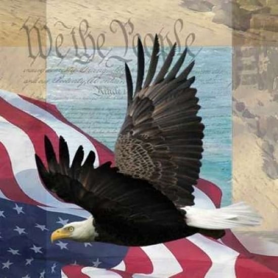 Freedom II Poster Print by Todd Williams-VARPDXTWM101 Image 1