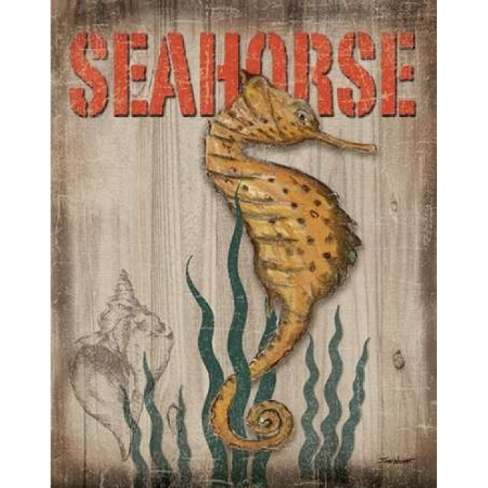 Seahorse Poster Print by Todd Williams-VARPDXTWM226 Image 2