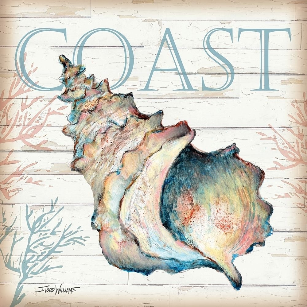 Coast Shell Poster Print by Todd Williams-VARPDXTWM404 Image 1