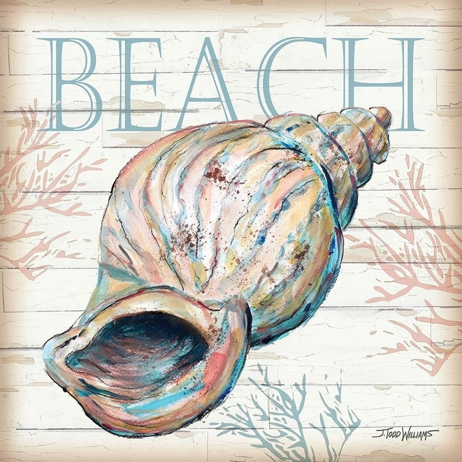 Beach Shell Poster Print by Todd Williams-VARPDXTWM405 Image 1