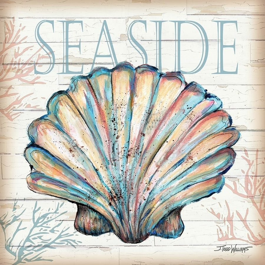 Seaside Shell Poster Print by Todd Williams-VARPDXTWM406 Image 1