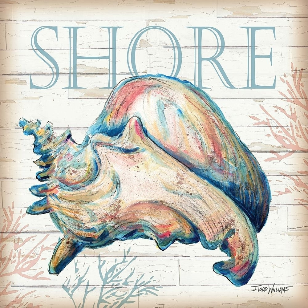 Shore Shell Poster Print by Todd Williams-VARPDXTWM407 Image 1