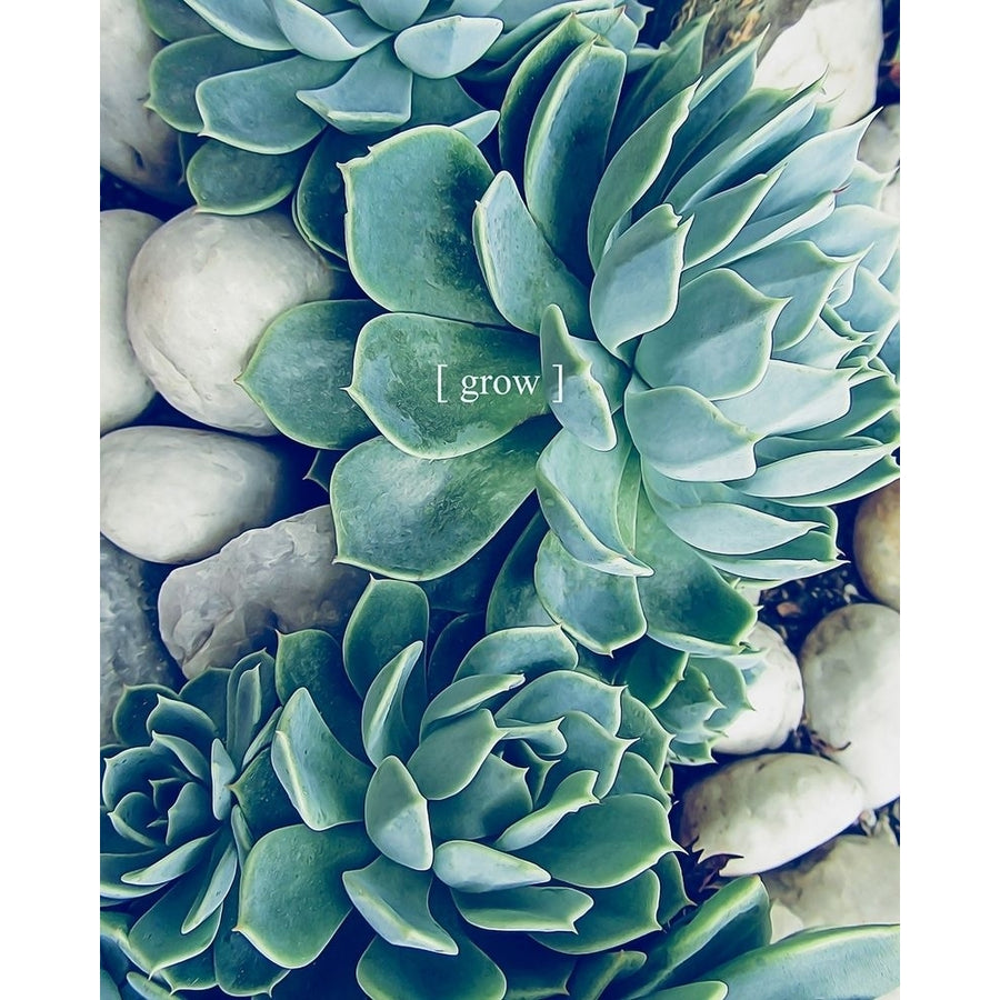 Grow Calm 2 Poster Print by Urban Epiphany Urban Epiphany-VARPDXUERC013B Image 1