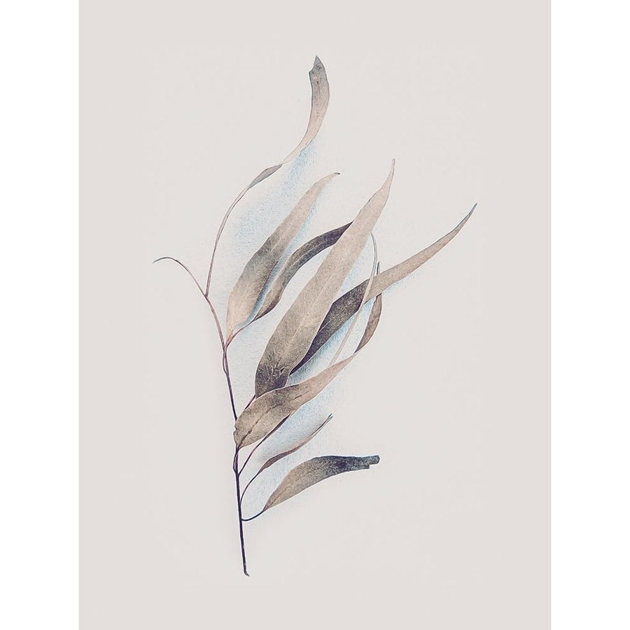 Gum Leaves Poster Print by Urban Epiphany Urban Epiphany-VARPDXUERC125A Image 1