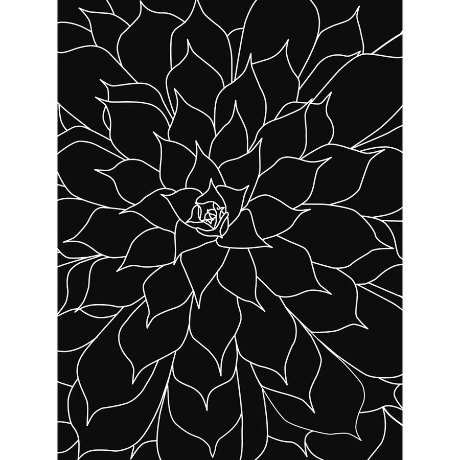 Black White Succulents Set of 2 by Urban Epiphany-VARPDXUERC196A Image 1