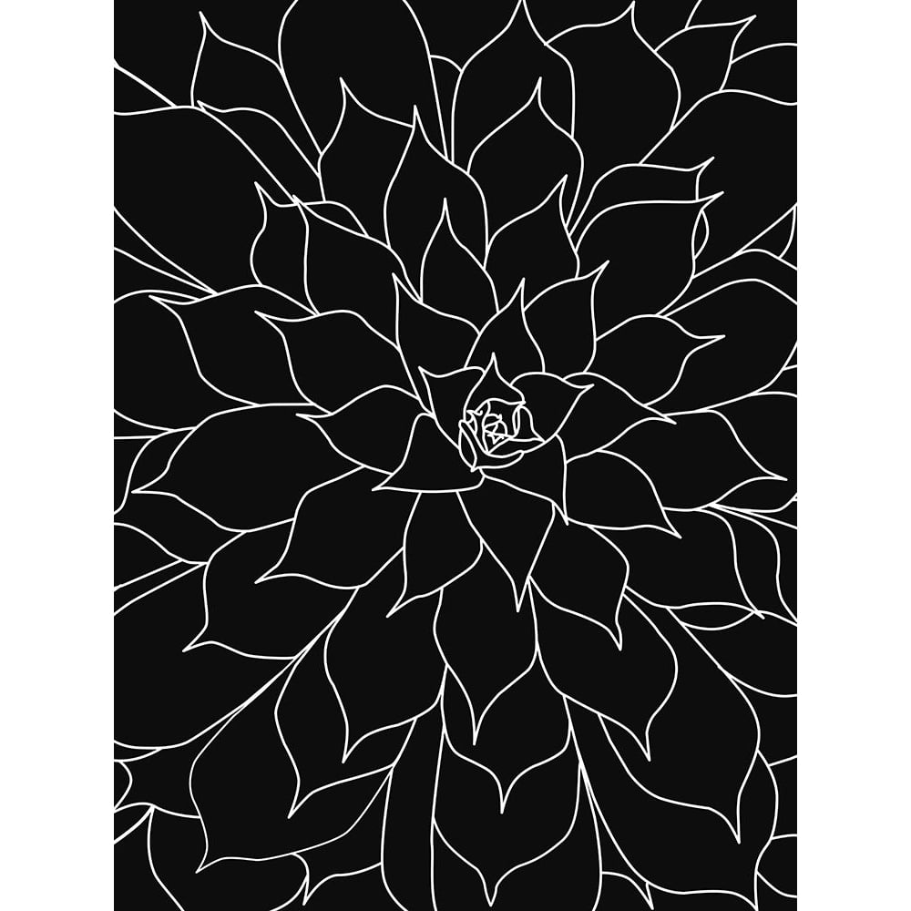 Black White Succulents Set of 2 by Urban Epiphany-VARPDXUERC196C Image 1