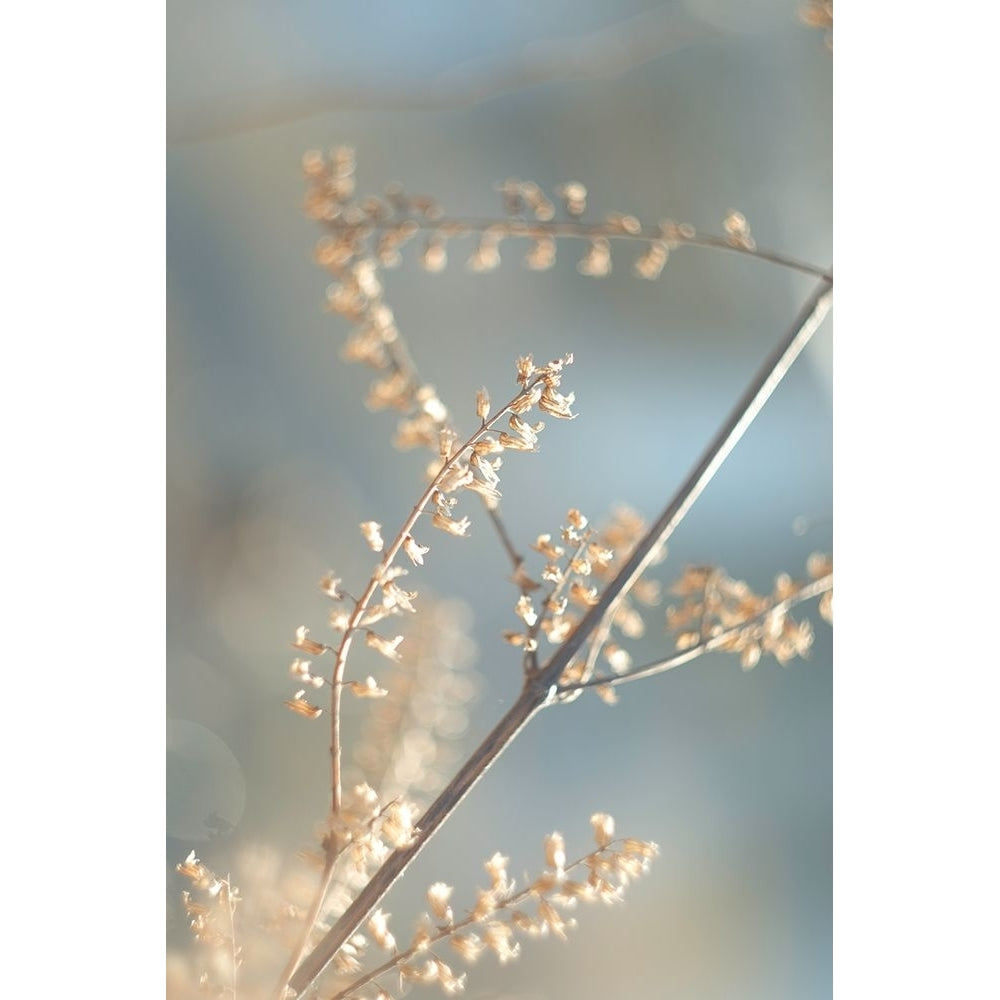 Golden Branch II Poster Print - J:L Design-VARPDXUL068A Image 1