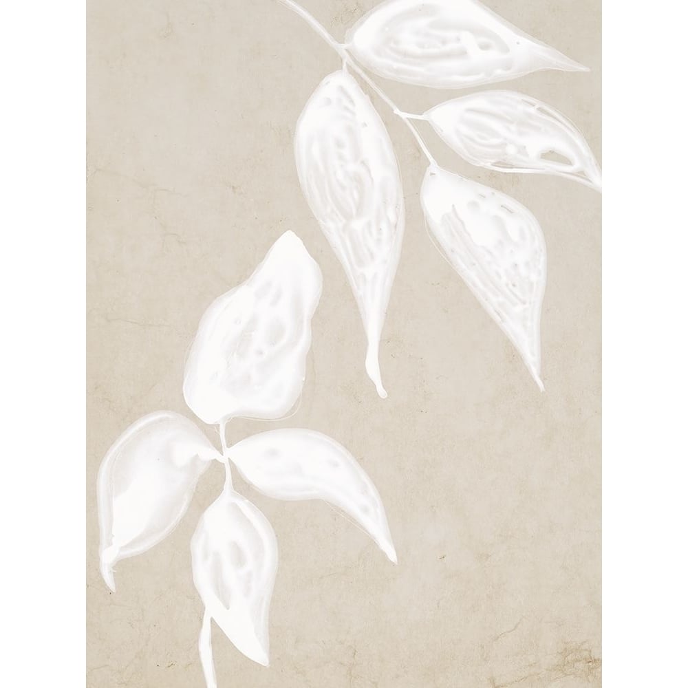 Paper Bark I Poster Print by Urban Road Urban Road-VARPDXUR1037 Image 1